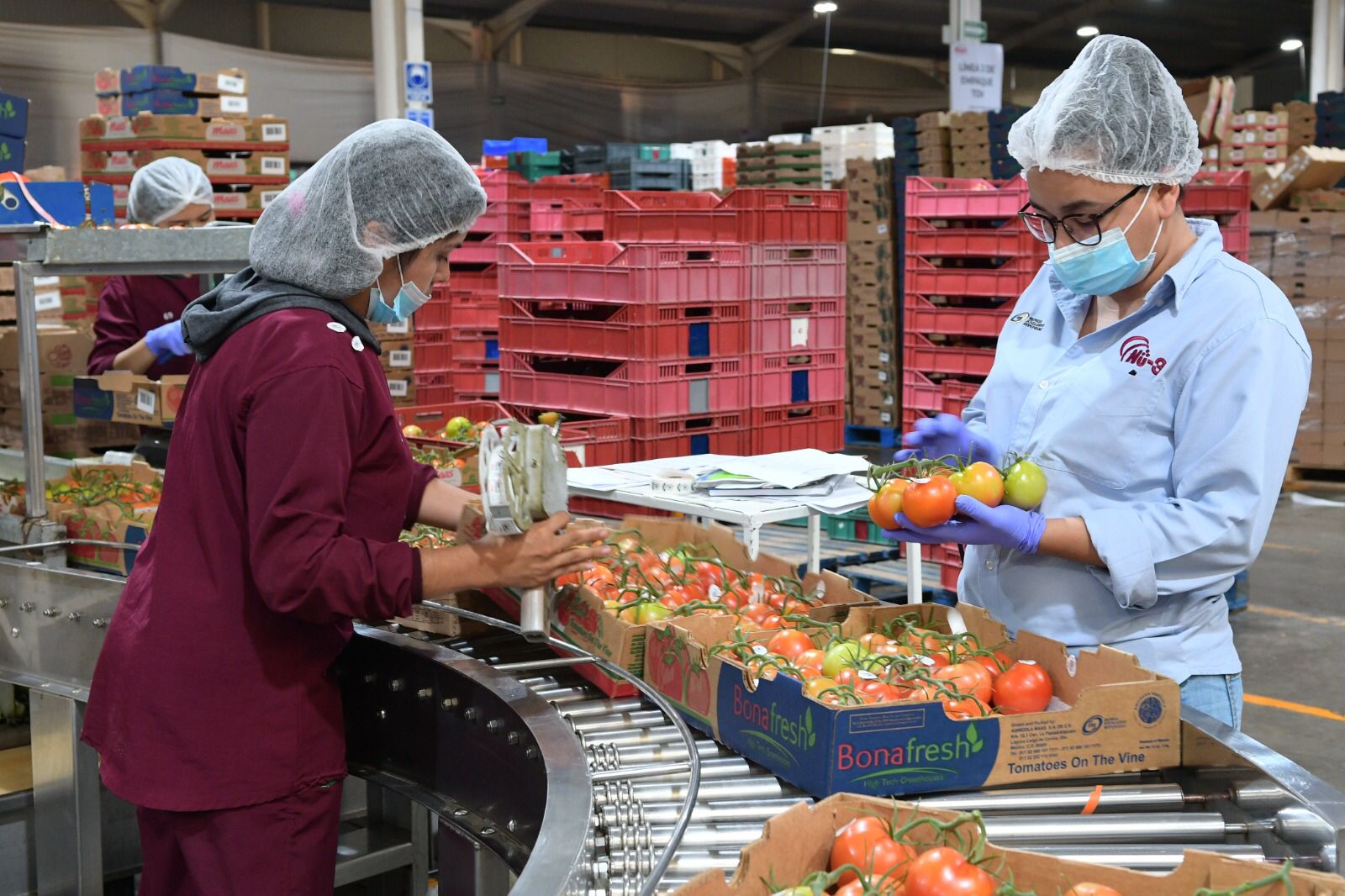 Reconocimiento y participación para el empleado; las claves para evitar la improductividad laboral Reconocimiento y participación para el empleado; las claves para evitar la improductividad laboral