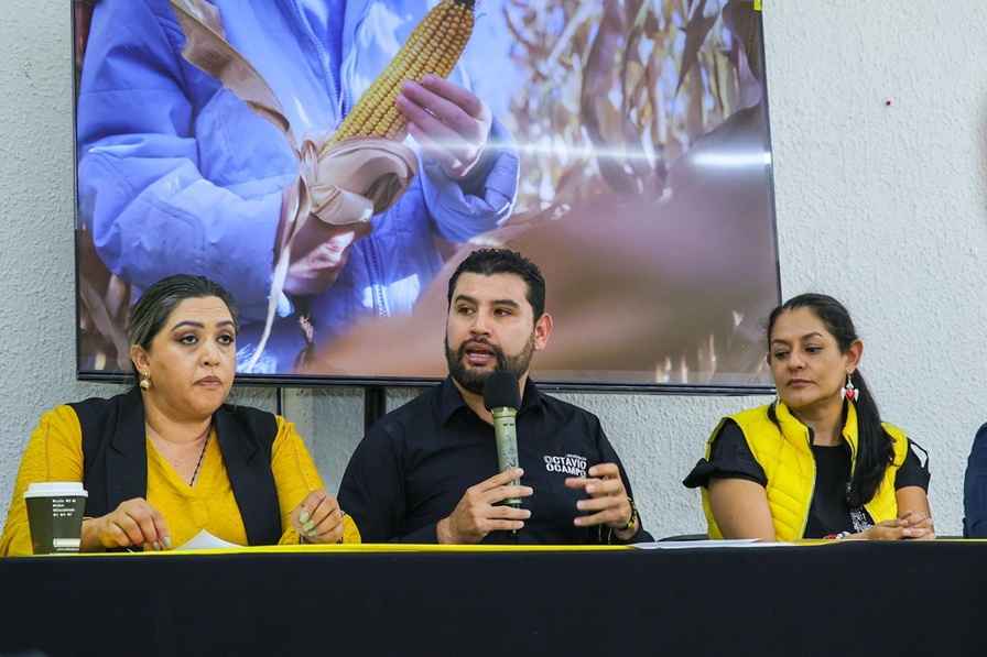 Urge garantizar precios justos y protección para productores de maíz en Michoacán: PRD Michoacán Urge garantizar precios justos y protección para productores de maíz en Michoacán: PRD Michoacán