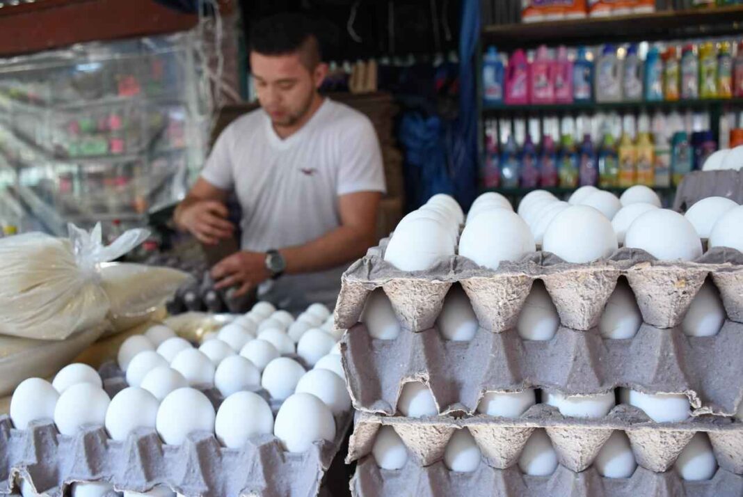 Michoacán mantiene estabilidad en precios de la canasta básica: Sedeco Michoacán mantiene estabilidad en precios de la canasta básica: Sedeco