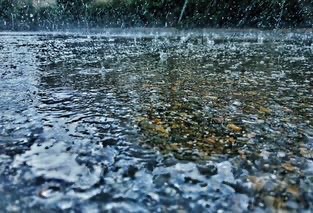 Suspensión de clases en 7 municipios de la Sierra-Costa por lluvias Suspensión de clases en 7 municipios de la Sierra-Costa por lluvias
