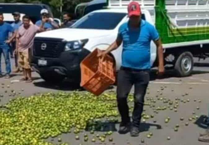 Altos costos de producción y las presiones de intermediarios afectan a los agricultores de Michoacán Altos costos de producción y las presiones de intermediarios afectan a los agricultores de Michoacán
