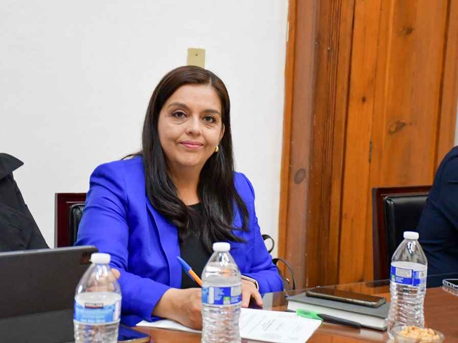 Llaman diputados del PAN a no detener trabajos legislativos por el Plan Michoacán Llaman diputados del PAN a no detener trabajos legislativos por el Plan Michoacán