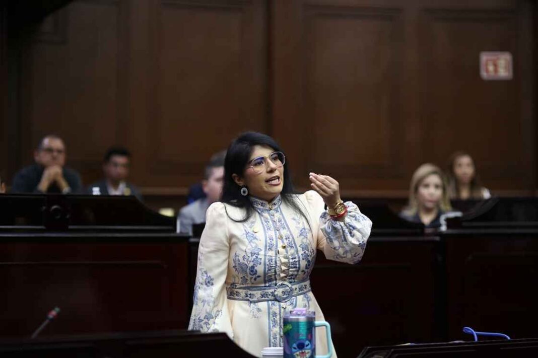 Nada nuevo en el Plan Michoacán: Vanhe Caratachea Nada nuevo en el Plan Michoacán: Vanhe Caratachea