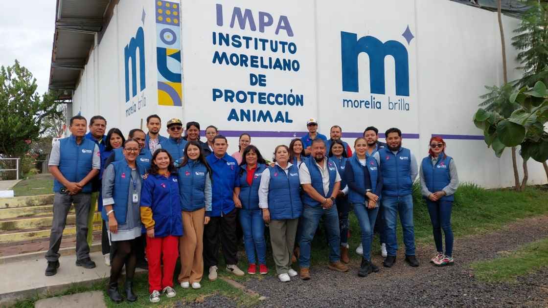 Proyecta IMPA para 2026 usar caballos y equinos rescatados para rehabilitar física y psicológicamente a las personas Proyecta IMPA para 2026 usar caballos y equinos rescatados para rehabilitar física y psicológicamente a las personas