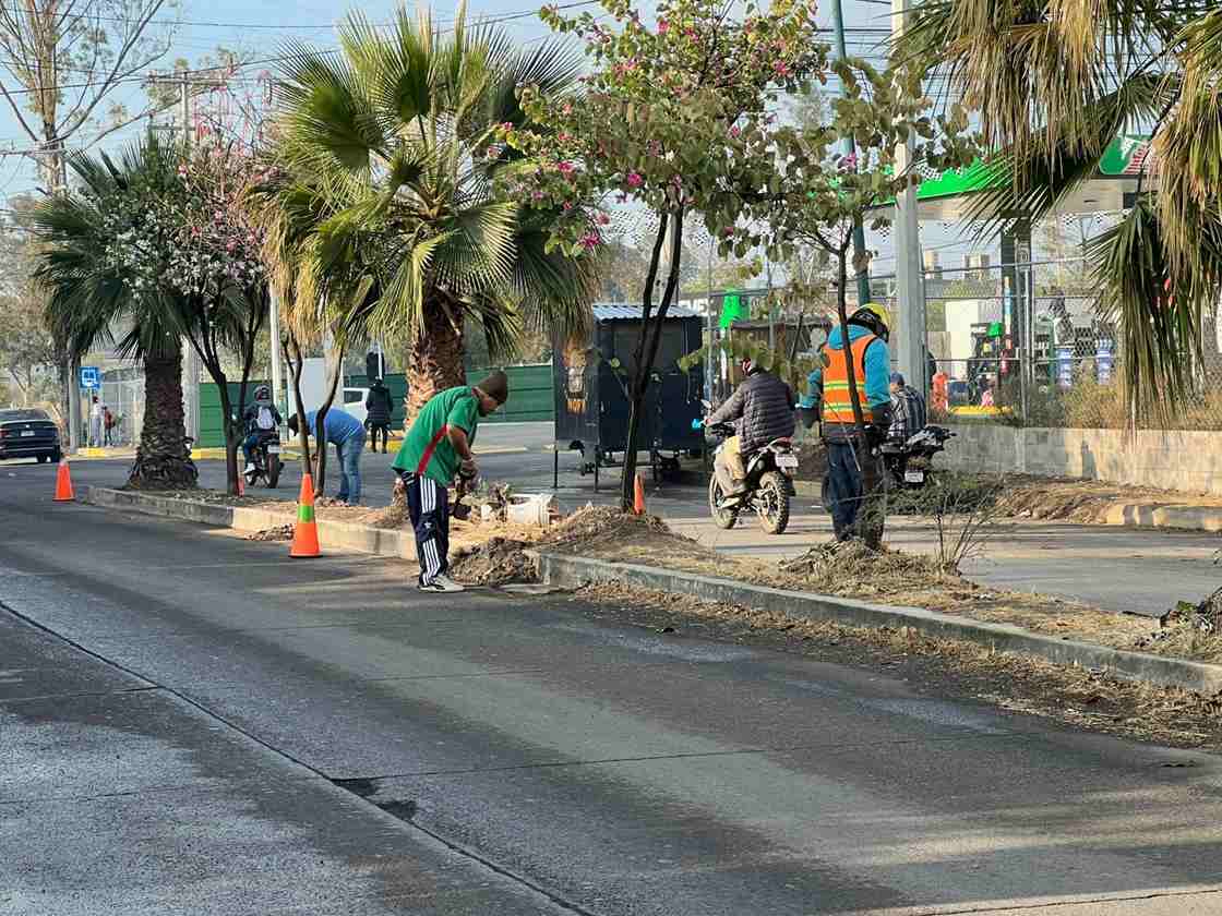 Encabeza Yankel Benítez jornada ciudadana de limpieza en La Aldea Encabeza Yankel Benítez jornada ciudadana de limpieza en La Aldea