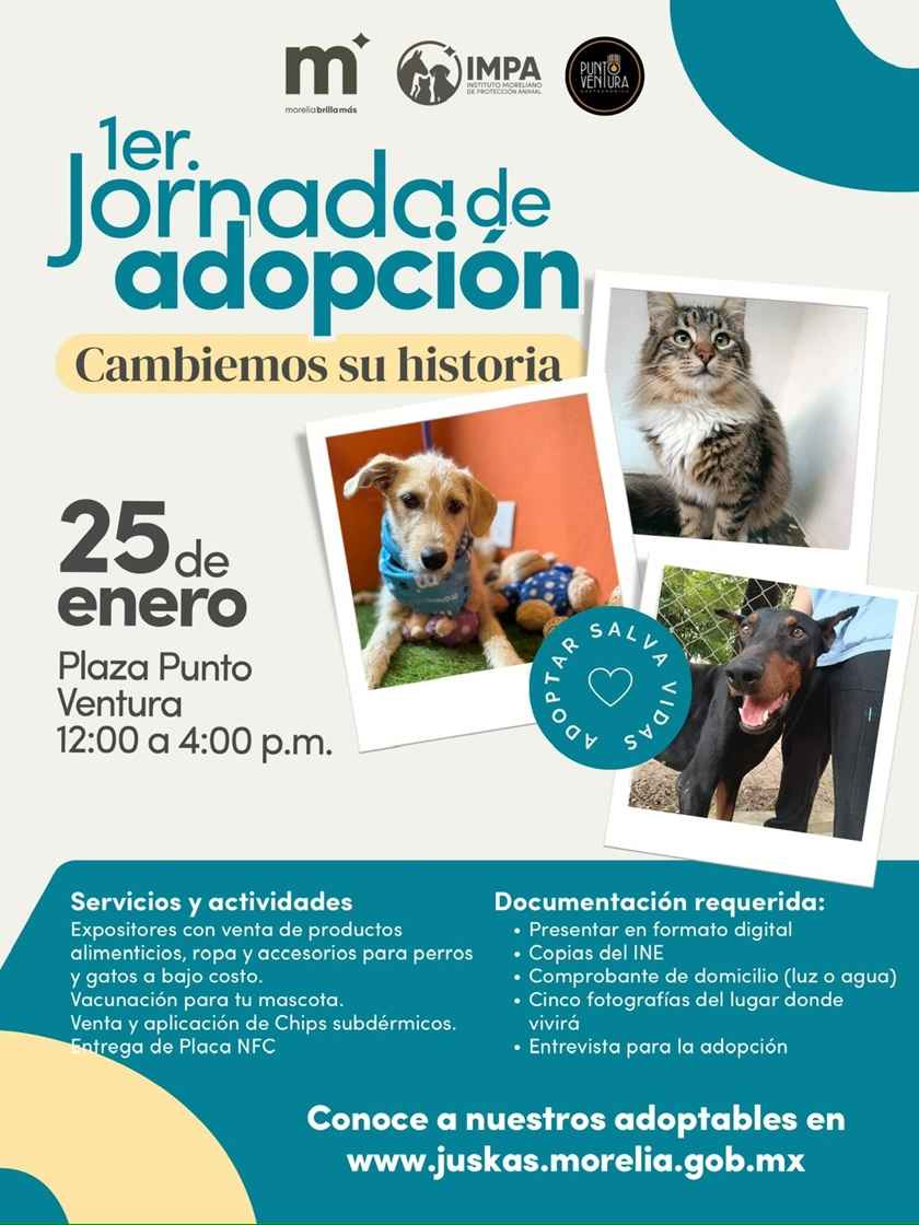 IMPA invita a cambiar una vida con la Primera Jornada de Adopción de lomitos y michis IMPA invita a cambiar una vida con la Primera Jornada de Adopción de lomitos y michis