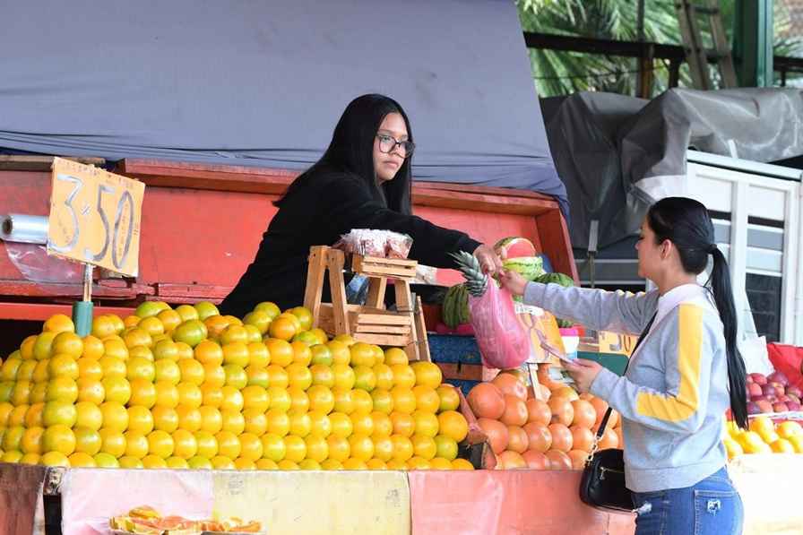 Familias michoacanas pueden ahorrar hasta 485 pesos en la canasta básica: Sedeco Familias michoacanas pueden ahorrar hasta 485 pesos en la canasta básica: Sedeco