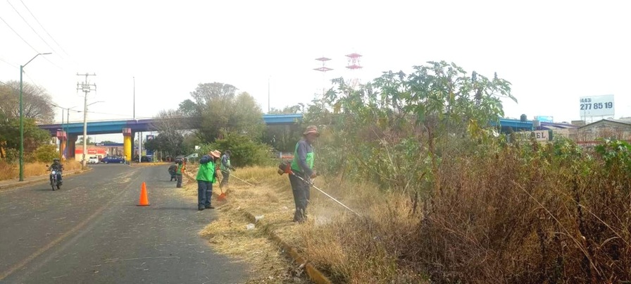 Brigadas de Servicios Públicos refuerzan poda y limpieza en vialidades de Morelia Brigadas de Servicios Públicos refuerzan poda y limpieza en vialidades de Morelia