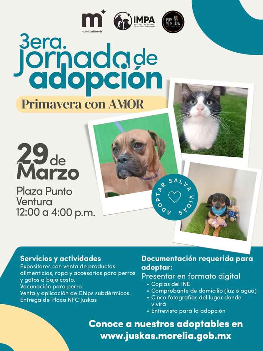 El IMPA invita a la Jornada de adopción “Primavera con amor” El IMPA invita a la Jornada de adopción “Primavera con amor”