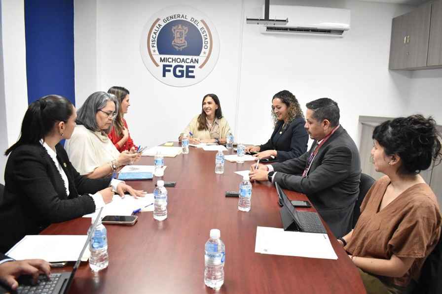 Coordinación interinstitucional para fortalecer la protección de niñas, niños y adolescentes en Michoacán: CTP Coordinación interinstitucional para fortalecer la protección de niñas, niños y adolescentes en Michoacán: CTP