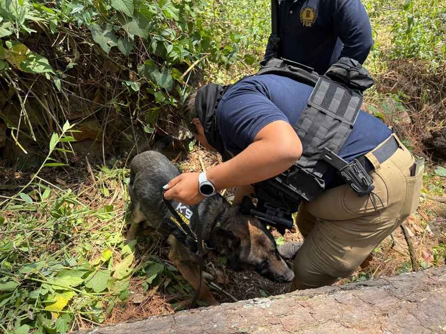Realizan búsqueda forense en Ziracuaretiro; localizan restos óseos humanos Realizan búsqueda forense en Ziracuaretiro; localizan restos óseos humanos