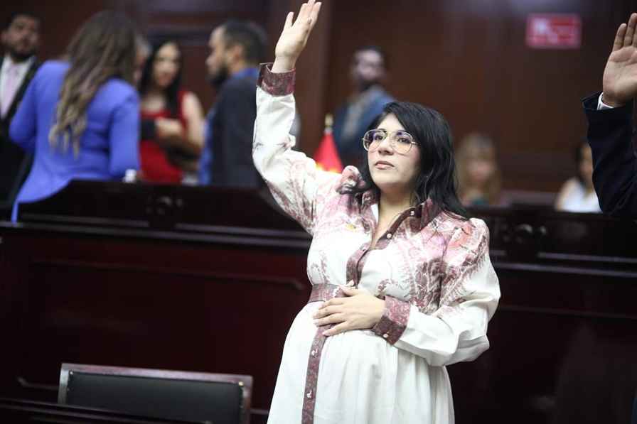 Vanhe Caratachea presenta iniciativa para proteger de violencia de género a madres jefas de familia Vanhe Caratachea presenta iniciativa para proteger de violencia de género a madres jefas de familia