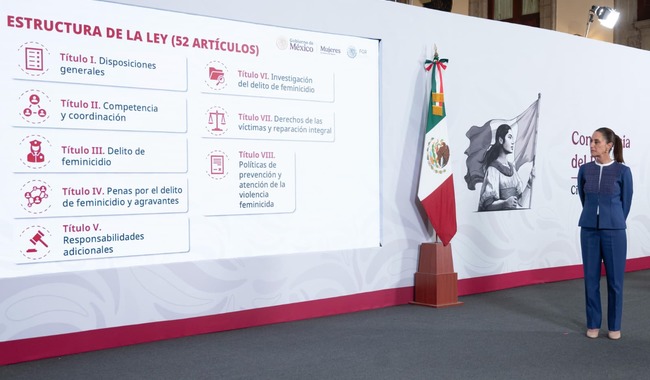 Presidenta enviará al Senado iniciativa de Ley General para prevenir, investigar, sancionar y reparar el daño por el delito de feminicidio Presidenta enviará al Senado iniciativa de Ley General para prevenir, investigar, sancionar y reparar el daño por el delito de feminicidio