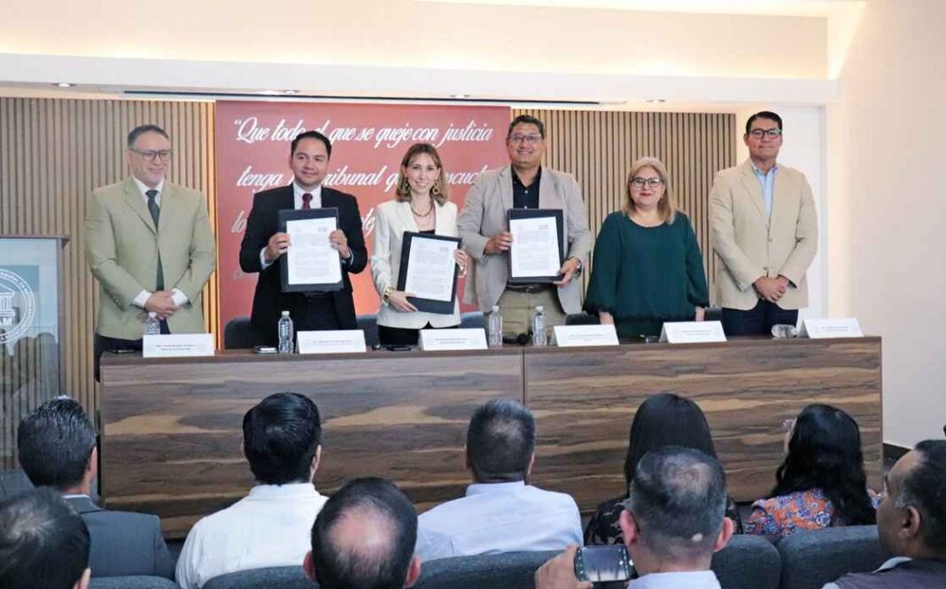 TAAM e IEM suman esfuerzos para garantizar defensa adecuada en procedimientos anticorrupción TAAM e IEM suman esfuerzos para garantizar defensa adecuada en procedimientos anticorrupción