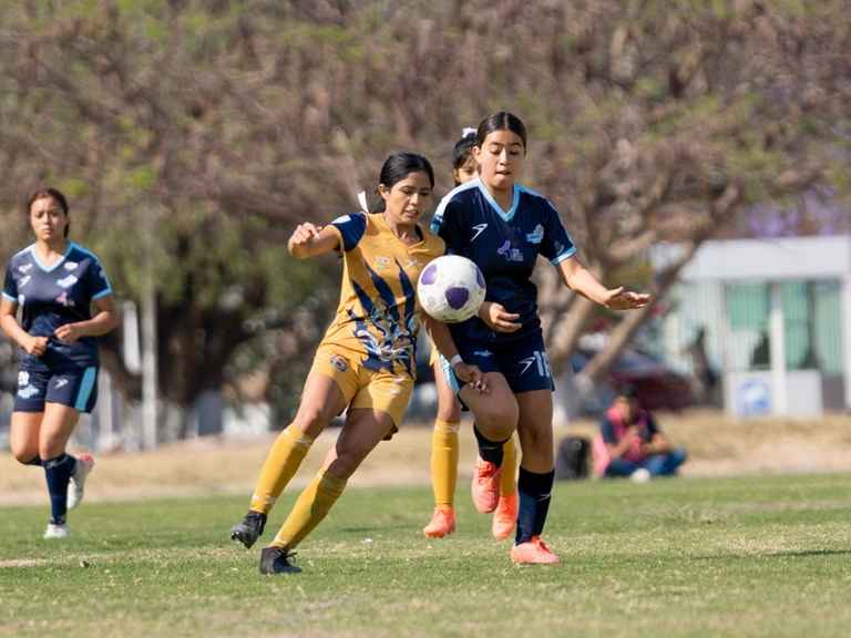 Atlético Morelia-UMSNH femenil busca sellar su boleto a los octavos de final de la Liga TDP Atlético Morelia-UMSNH femenil busca sellar su boleto a los octavos de final de la Liga TDP