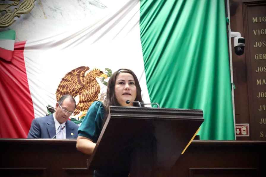 Jackie Avilés presenta iniciativa para fortalecer la protección contra la violencia familiar en Michoacán Jackie Avilés presenta iniciativa para fortalecer la protección contra la violencia familiar en Michoacán