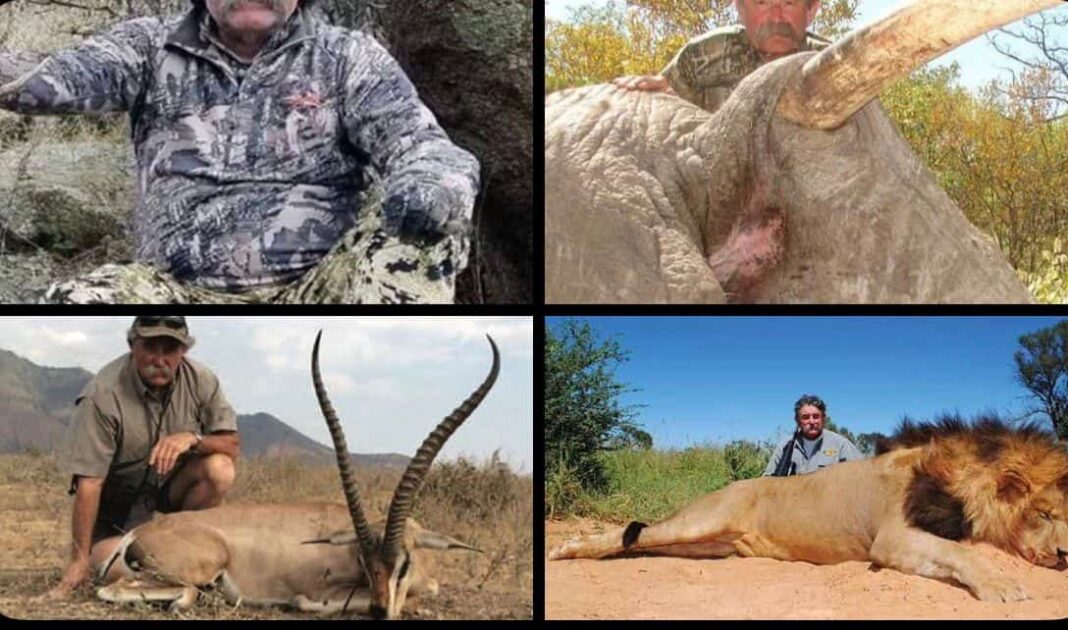 Muere cazador estadounidense tras ataque de elefantes en Gabón Muere cazador estadounidense tras ataque de elefantes en Gabón