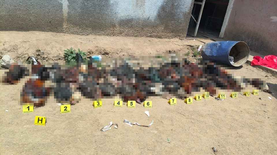 FGE asegura 29 aves con vida y documenta la muerte de 41 más en palenque clandestino en El Parián FGE asegura 29 aves con vida y documenta la muerte de 41 más en palenque clandestino en El Parián