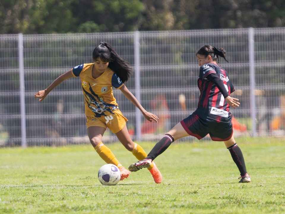 Atlético Morelia-UMSNH femenil visita a tigres de álica en cuartos de final de la Liga TDP Atlético Morelia-UMSNH femenil visita a tigres de álica en cuartos de final de la Liga TDP