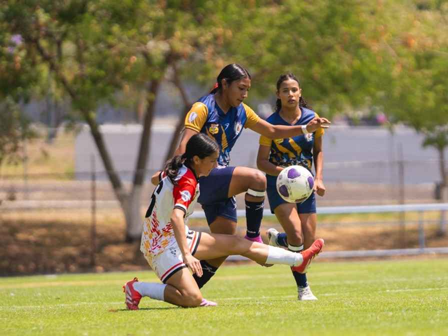 En su temporada de debut en la Liga TDP, Atlético Morelia-UMSNH femenil alcanzó los cuartos de final En su temporada de debut en la Liga TDP, Atlético Morelia-UMSNH femenil alcanzó los cuartos de final