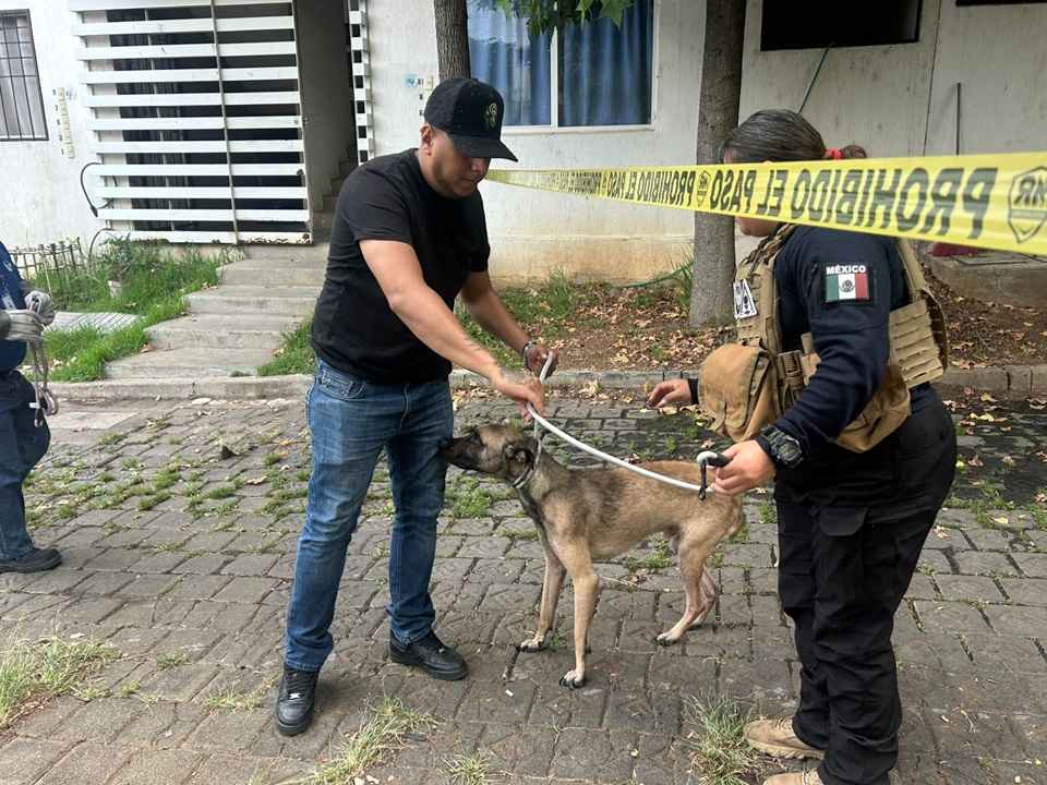 Colaboran IMPA y FGE por el bien animal Colaboran IMPA y FGE por el bien animal