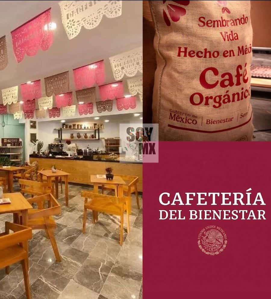 ¿Apenas te enteras de la “Cafetería del Bienestar”? Pues ya la cerraron por irregularidades ¿Apenas te enteras de la “Cafetería del Bienestar”? Pues ya la cerraron por irregularidades