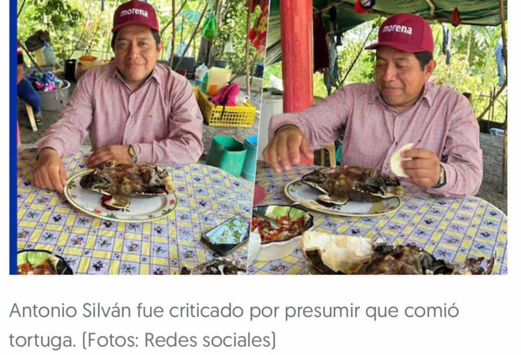 Escándalo en Tabasco: Dirigente de Morena presume consumo de Tortuga, especie protegida Escándalo en Tabasco: Dirigente de Morena presume consumo de Tortuga, especie protegida