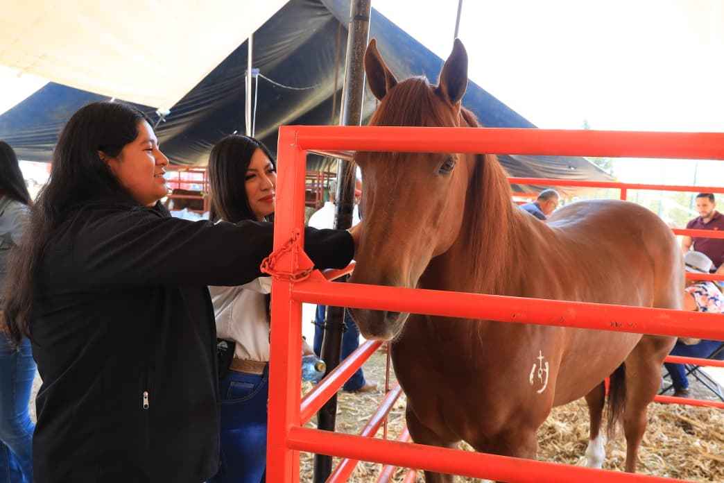 Expo Agrotegan 2026 cierra con éxito histórico y reafirma respaldo de Morelia al campo y sus familias Expo Agrotegan 2026 cierra con éxito histórico y reafirma respaldo de Morelia al campo y sus familias
