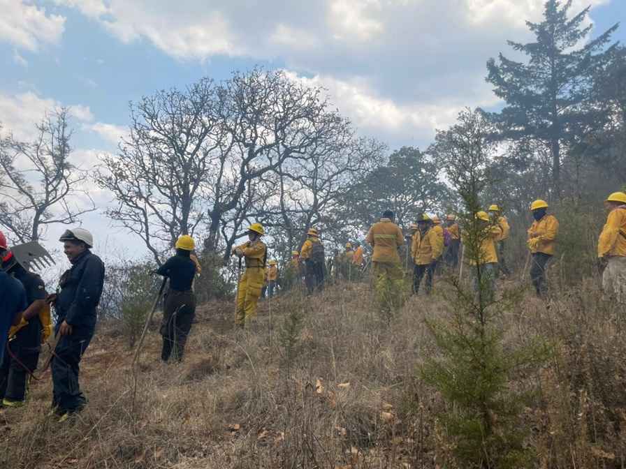 Incendio forestal en el Cerro del Estribo controlado en un 80 % Incendio forestal en el Cerro del Estribo controlado en un 80 %