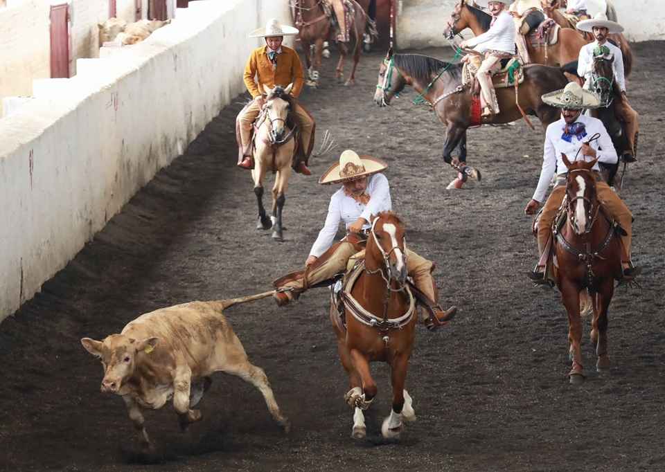 Reconoce gobernador el valor histórico de la charrería; inaugura Segunda Fase del Campeonato Estatal Charro Michoacán 2026 Reconoce gobernador el valor histórico de la charrería; inaugura Segunda Fase del Campeonato Estatal Charro Michoacán 2026