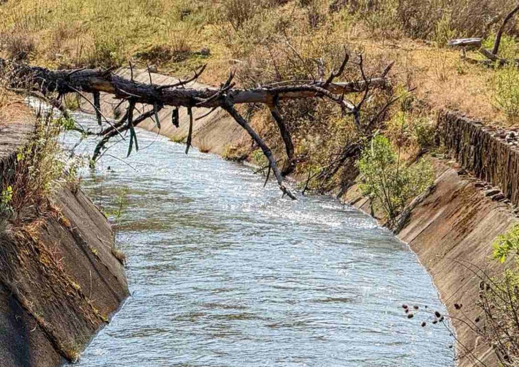 Conagua prevé recuperación de acuíferos; Michoacán registra aumento de lluvia en una semana Conagua prevé recuperación de acuíferos; Michoacán registra aumento de lluvia en una semana