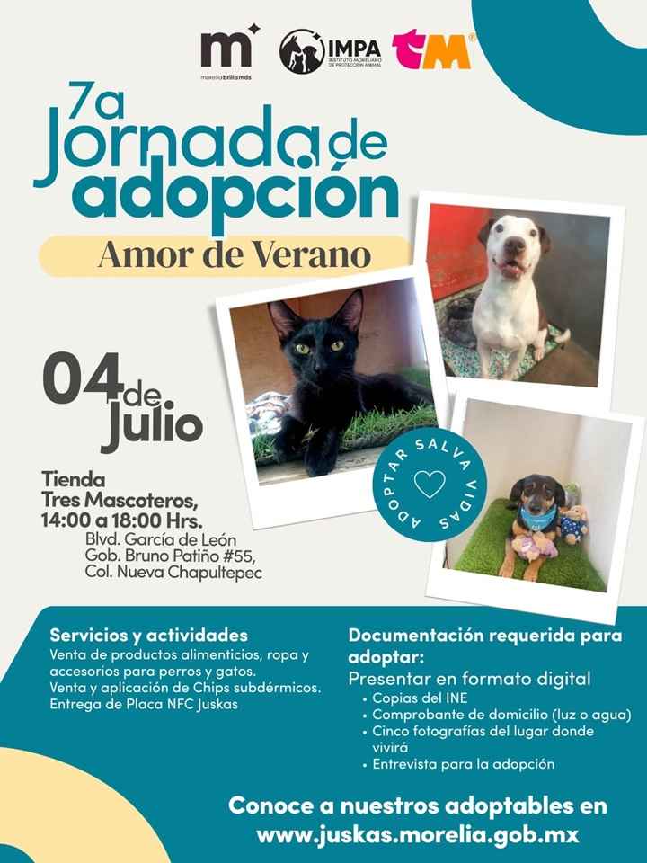 IMPA invita a la Séptima Jornada de Adopción; 18 lomitos esperan un hogar IMPA invita a la Séptima Jornada de Adopción; 18 lomitos esperan un hogar