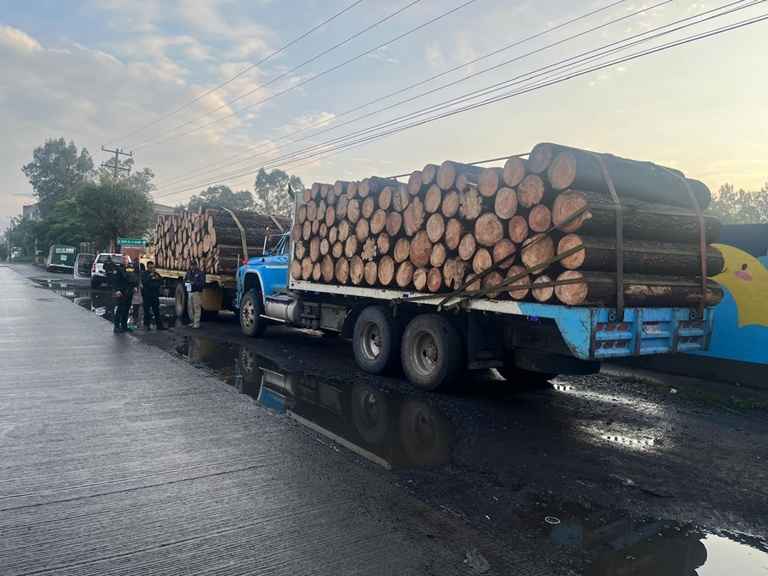 Asegura FGE tres camiones con producto forestal y pone a disposición a tres personas por presunto uso de documentación falsa en Charo Asegura FGE tres camiones con producto forestal y pone a disposición a tres personas por presunto uso de documentación falsa en Charo