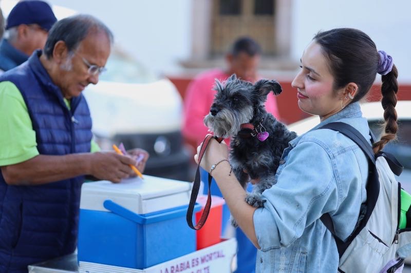 Vacunación antirrábica gratuita para perros y gatos en la Plaza del Carmen Vacunación antirrábica gratuita para perros y gatos en la Plaza del Carmen