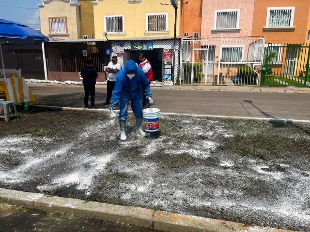Gobierno de Morelia refuerza acciones preventivas contra el dengue Gobierno de Morelia refuerza acciones preventivas contra el dengue