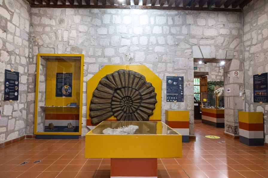 UMSNH y Secretaría de Cultura Federal en estrecha colaboración; promueven el patrimonio paleontológico UMSNH y Secretaría de Cultura Federal en estrecha colaboración; promueven el patrimonio paleontológico