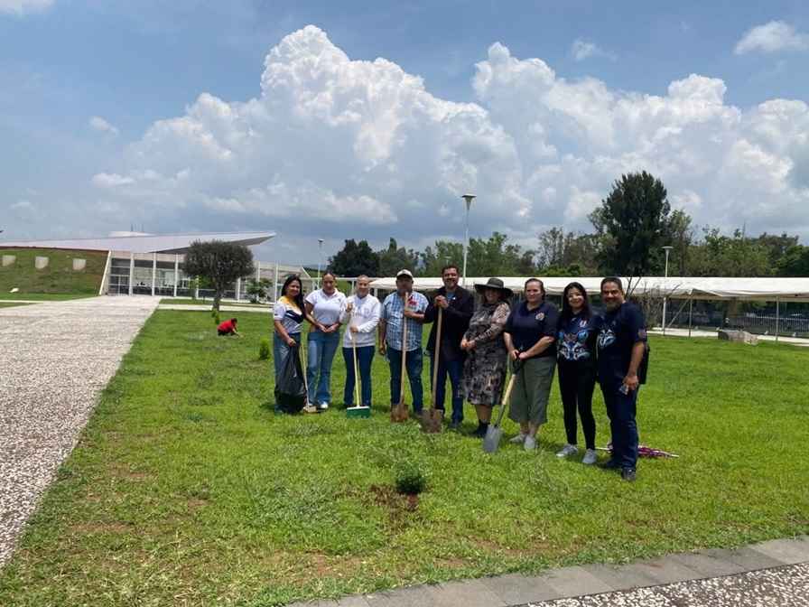 UMSNH se activa en la Jornada Nacional Tequios por la Transformación y Cortos por la Paz UMSNH se activa en la Jornada Nacional Tequios por la Transformación y Cortos por la Paz