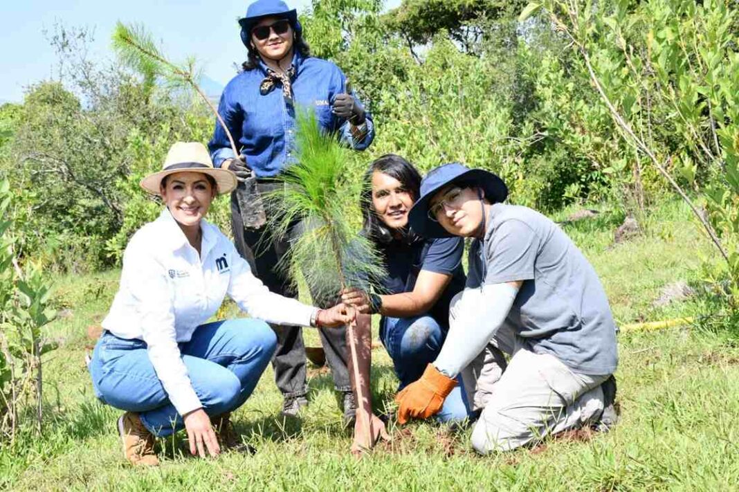 Gobierno de Morelia lleva jornada de reforestación a Tiripetío Gobierno de Morelia lleva jornada de reforestación a Tiripetío
