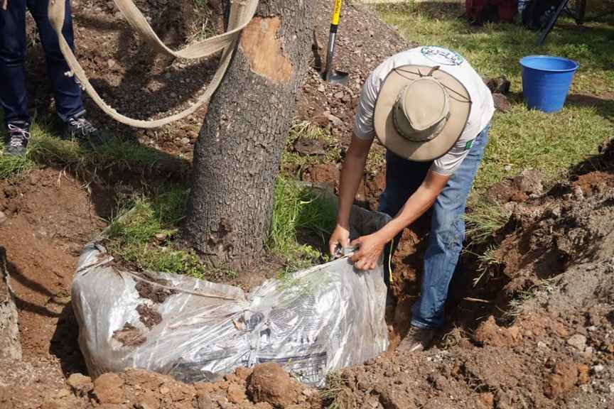Este jueves harán público dictamen ambiental del Morebús tras polémica por su reserva Este jueves harán público dictamen ambiental del Morebús tras polémica por su reserva