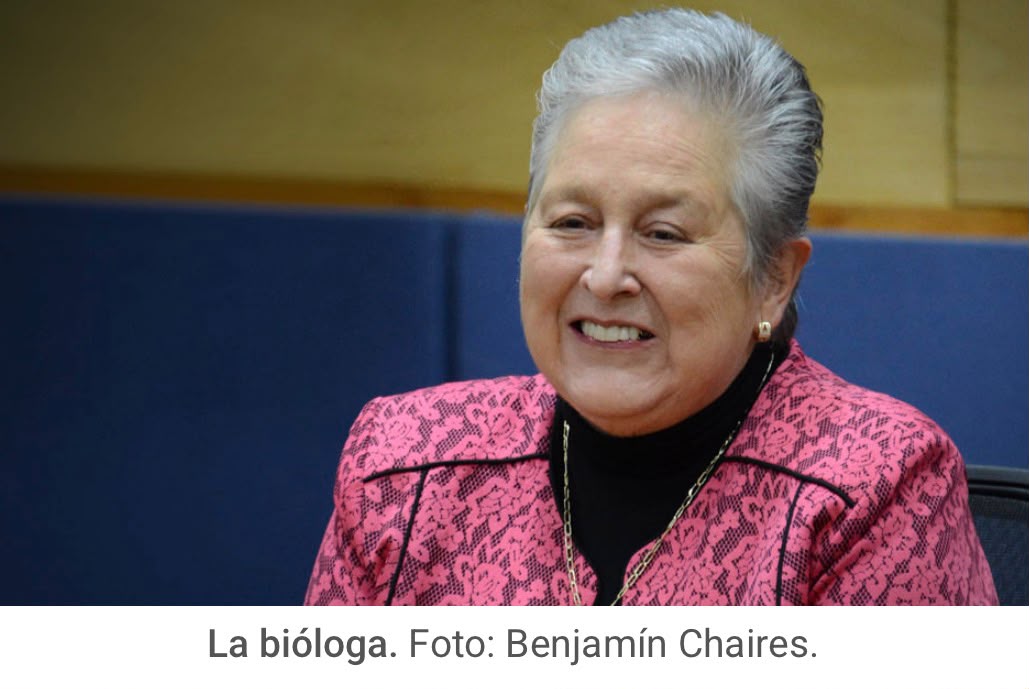 Renuncia la Secretaria General de la UNAM tras la crisis por el examen de admisión Renuncia la Secretaria General de la UNAM tras la crisis por el examen de admisión
