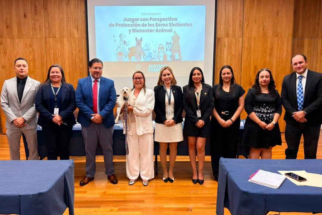 Impulsa Poder Judicial de Michoacán reflexión sobre la protección de los seres sintientes y el bienestar animal Impulsa Poder Judicial de Michoacán reflexión sobre la protección de los seres sintientes y el bienestar animal