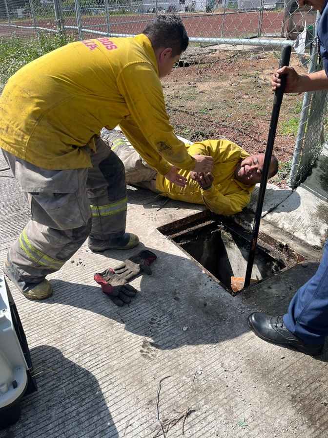 Protección Civil y Bomberos Morelia rescata a nueve patitos de una alcantarilla Protección Civil y Bomberos Morelia rescata a nueve patitos de una alcantarilla