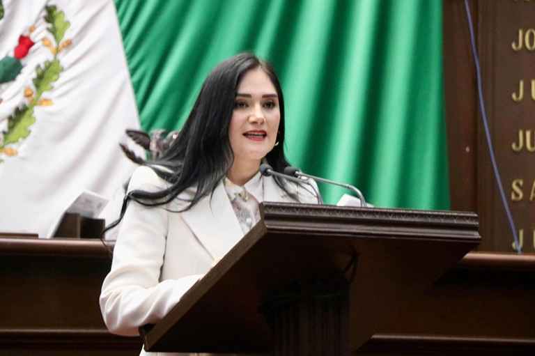 Propone Diana Espinoza, emplacamiento de origen para acabar con permisos irregulares Propone Diana Espinoza, emplacamiento de origen para acabar con permisos irregulares