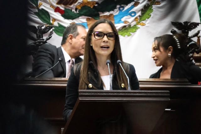 Impulsa Nalleli Pedraza reforma para crear el sistema estatal para visibilizar la realidad de las personas con discapacidad Impulsa Nalleli Pedraza reforma para crear el sistema estatal para visibilizar la realidad de las personas con discapacidad