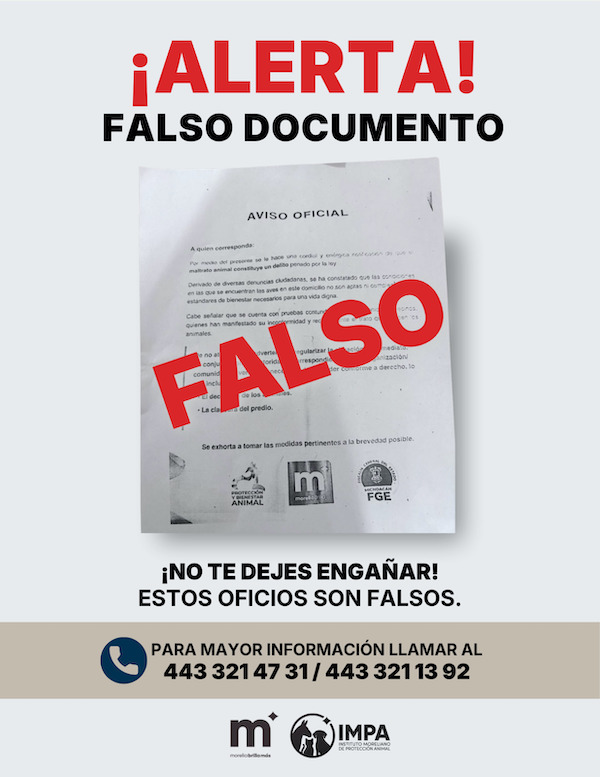 IMPA alerta sobre documentos apócrifos distribuidos en domicilios de Morelia IMPA alerta sobre documentos apócrifos distribuidos en domicilios de Morelia