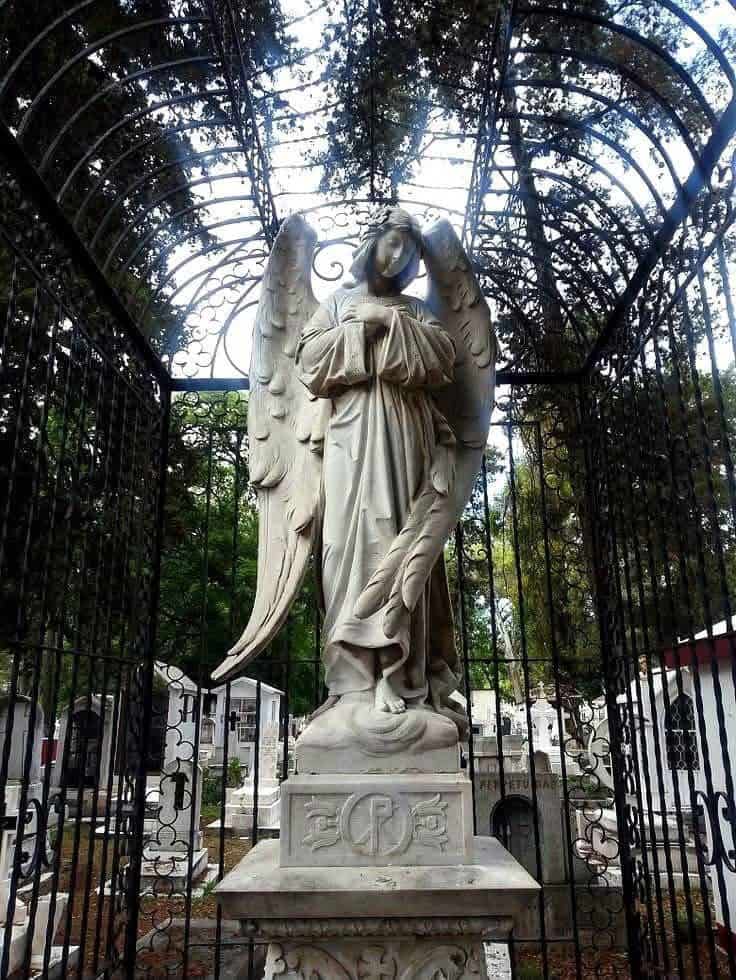 El Ángel Enjaulado en el Panteón Municipal El Ángel Enjaulado en el Panteón Municipal