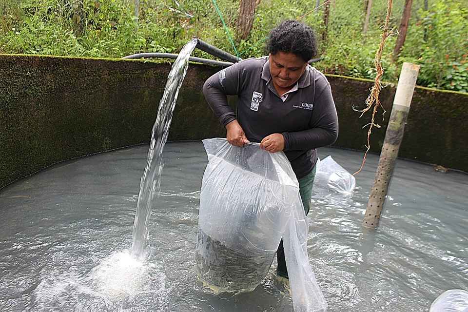 Gobierno de Morelia, mediante Saderm, continúa con apoyos al sector productor de pescado Gobierno de Morelia, mediante Saderm, continúa con apoyos al sector productor de pescado
