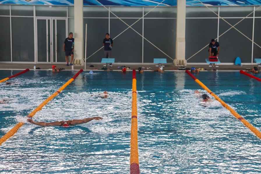 UMSNH abre visorías para integrarse a la Selección de Natación; ¡participa! UMSNH abre visorías para integrarse a la Selección de Natación; ¡participa!